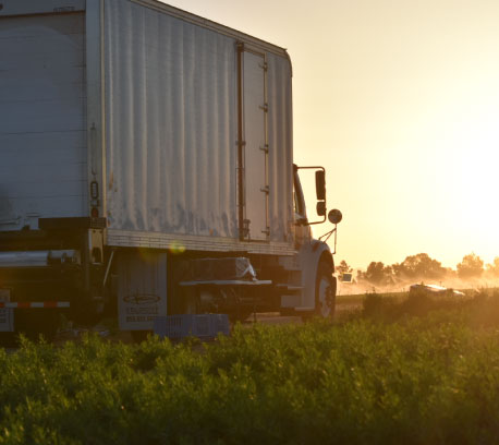 truck carrying produce